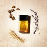 Azzaro Pour Homme toaletna voda za moške 100 ml Cene