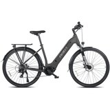 Fafrees Električno kolo za vožnjo po mestu FM9, motor BAFANG s srednjim pogonom 250 W, senzor navora, črna, (5000009029) Cene