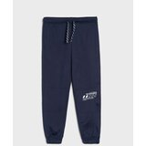 Sinsay Jogger hlače Active | shoptok.hr