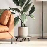  Noge za klubsko mizico 4 kosi črne 10 cm masivno jeklo, (22123542) | Shoptok.si
