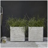 Capi saksija četvrtasta slonova kost | ePonuda.com