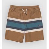 Salty Crew Crew Stripe Volley Kids Boardshorts bronze brown Cene