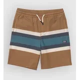 Crew Stripe Volley Kids Boardshorts bronze brown