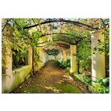  Tapeta - Pergola 150x105 | shoptok.hr