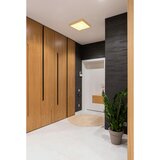 Lesnina-XXXL stropna led-svetilka 25/25 cm | Shoptok.si
