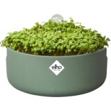 ELHO Lonec za gojenje Microgreens "magic microgreens" - Listnato zelena Cene