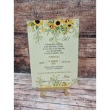  Vabila za Abrahama ABR 101-04 | Shoptok.si