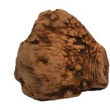 Chewies korenina za žvečenje - Velikost L Cene