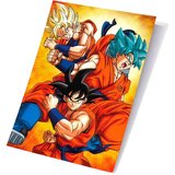 Dragon Ball 3D poster Super Champa i Goku, 40 x 60 cm Cijene