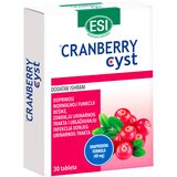 BGB ITALIANA-BGB preparat sa ekstraktom brusnice za urinarni trakt esi cranberry cyst - brusnica 30 tableta Cene