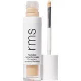 Revitalize Hydra Concealer - WN04