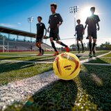 Nogometna Lopta za Plažu Aktive (12 kom.) | shoptok.hr