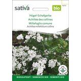 Sativa Bio hribovski rman - 1 pkt. | Shoptok.si