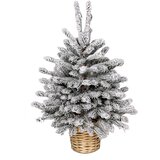  Jelka u saksijibela 60cm | Eponuda.com