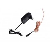 WALLXPERT fox red | ePonuda.com