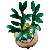 Lego Botanical Collection: Bambus za srečo | Shoptok.si