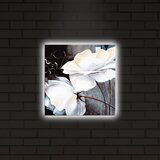 Wallity Slika sa LED osvetljenjem 2828DACT-2, 28x28 cm | ePonuda.com