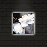 Wallity Zidna slika sa LED osvetljenjem 2828DACT-2, 28x28 cm | Eponuda.ba