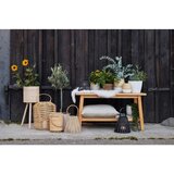 Zandiara Okrasni Lonček Naturelle | Shoptok.si