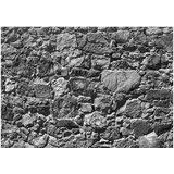  Samoljepljiva foto tapeta - Tempus fugit 245x175 | shoptok.hr