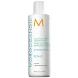 moisture repair conditioner 250ml