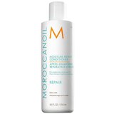 Moroccanoil Repair Moisture Repair Conditioner Balzam za suhe in poškodovane lase 250 ml | Shoptok.si