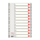 Esselte Pregrada kartonska 1-12 A4 PP siva | shoptok.hr
