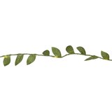 Star Trading Zelena LED svetlobna veriga Leaf, dolžina 95 cm | Shoptok.si
