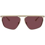 Ferrari Naočare za sunce FH 1013T 302/1E | ePonuda.com