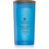 Chesapeake Bay Candle Mind & Body Confidence & Freedom mirisna svijeća 355 g Cijene