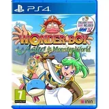 Boy Asha in Monster World (PS4)