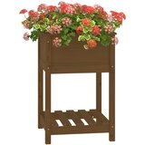  Sadilica s policom boja meda 54x54x81 cm od masivne borovine | Eponuda.com