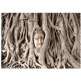  Tapeta - Buddha's Tree 300x210 | shoptok.hr