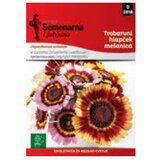  Hrizantema (070551) | ePonuda.com