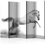 Artgeist Paravan White Gallop I, 5-Delni, Dvostranski | Shoptok.si