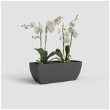 Artevasi Cvetlično korito iz reciklirane plastike 30 cm Siena – | Shoptok.si