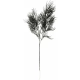 PT LIVING Umetna rastlina (višina 86 cm) Asparagus Fern –