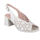 Pitillos 5695 Bež | shoptok.hr