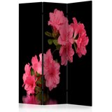 Artgeist PARAVAN 135/172/3 cm črna, pink | Shoptok.si