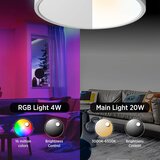 ANTENLICHT Pametna LED stropna svetilka 24W | Shoptok.si