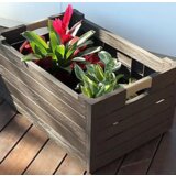 Olimp Sport Kutija pvc rasklopiva 50l braon | ePonuda.com