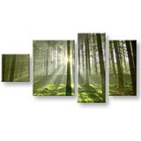  Slike na platnu drveće | ePonuda.com