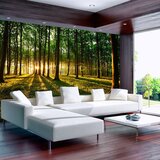  Samoljepljiva foto tapeta - Spring: Morning in the Forest 147x105 Cijene