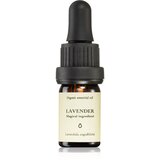 Smells Like Spells Essential Oil Lavender eterično olje 5 ml Cene