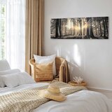  Slika - Forest Sun 135x45 Standard | shoptok.hr