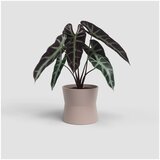 Artevasi Keramička tegla za cvijeće ø 14 cm Diana – | shoptok.hr