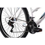  Adria Bonita 26" belo-plavo (19) | Eponuda.com