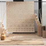Douceur d intérieur Bež tepih 160x230 cm Tania – | shoptok.hr