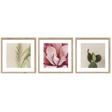 Tiskane slike u setu 3 kom s okvirom 30x30 cm Fresh –