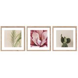 Styler Tiskane slike v kompletu 3 ks z okvirjem 30x30 cm Fresh – | Shoptok.si
